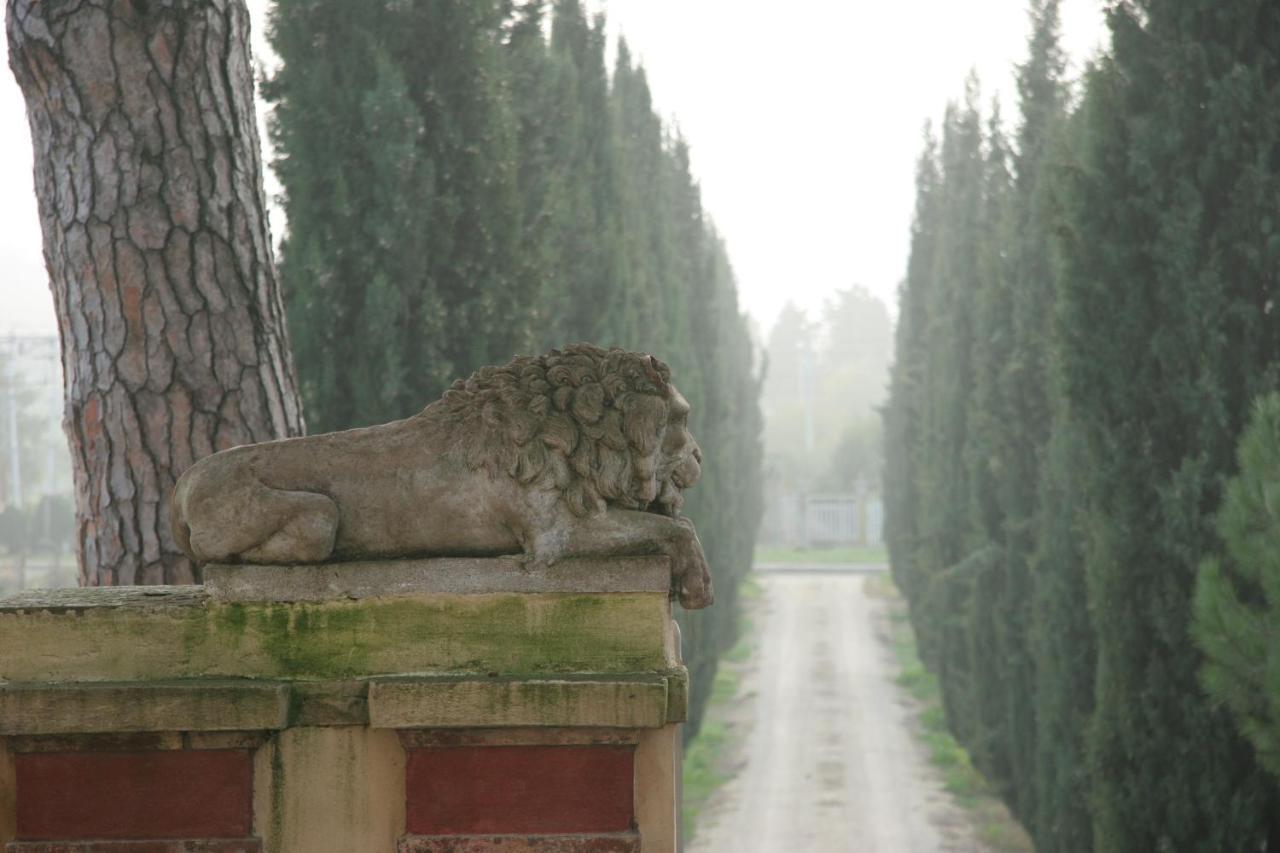 Villa Guadagni Cappelli Ареццо Екстер'єр фото