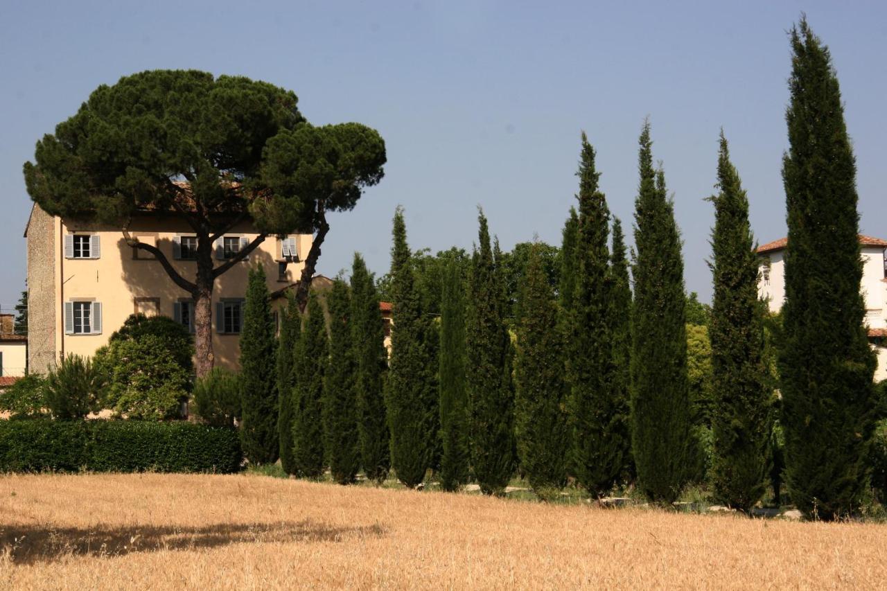 Villa Guadagni Cappelli Ареццо Екстер'єр фото